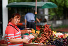 กู้วิกฤตเกษตร: เปลี่ยนผลผลิตล้นตลาดสู่สินค้ามูลค่าสูงด้วยการแปรรูป กู้วิกฤตเกษตร: เปลี่ยนผลผลิตล้นตลาดสู่สินค้ามูลค่าสูงด้วยการแปรรูป