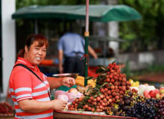 กู้วิกฤตเกษตร: เปลี่ยนผลผลิตล้นตลาดสู่สินค้ามูลค่าสูงด้วยการแปรรูป กู้วิกฤตเกษตร: เปลี่ยนผลผลิตล้นตลาดสู่สินค้ามูลค่าสูงด้วยการแปรรูป